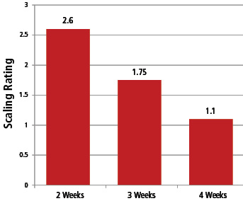 AE-2015-Summer - curing.jpg